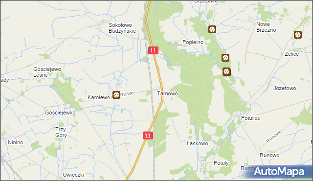 mapa Tarnowo gmina Rogoźno, Tarnowo gmina Rogoźno na mapie Targeo