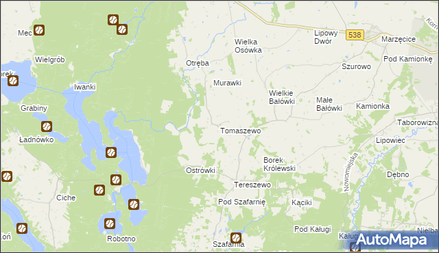 mapa Tomaszewo gmina Kurzętnik, Tomaszewo gmina Kurzętnik na mapie Targeo