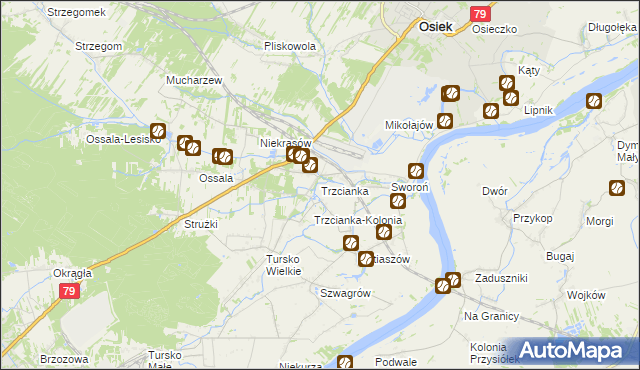 mapa Trzcianka gmina Osiek, Trzcianka gmina Osiek na mapie Targeo