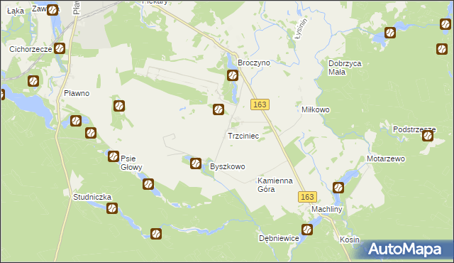 mapa Trzciniec gmina Czaplinek, Trzciniec gmina Czaplinek na mapie Targeo