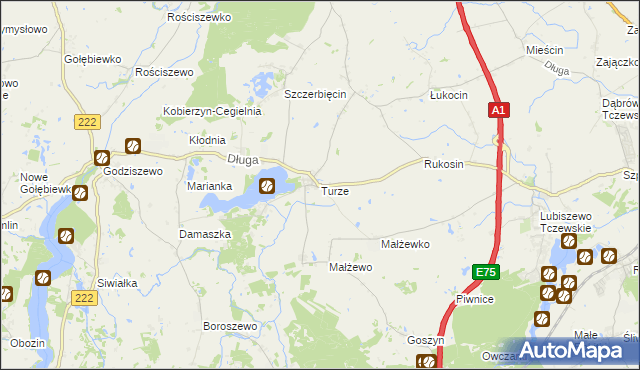 mapa Turze gmina Tczew, Turze gmina Tczew na mapie Targeo