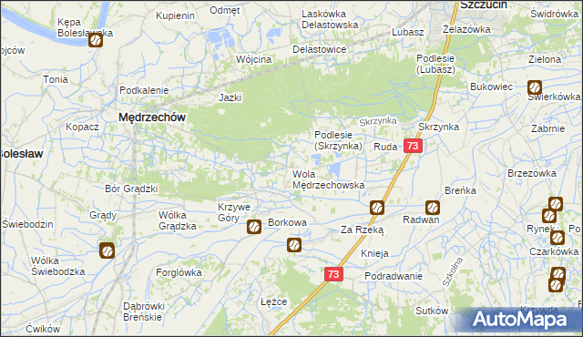 mapa Wola Mędrzechowska, Wola Mędrzechowska na mapie Targeo