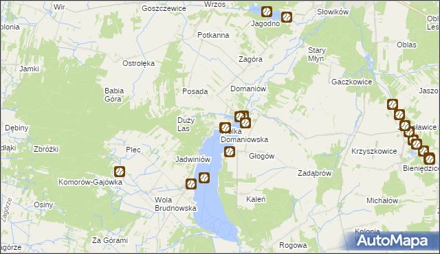 mapa Wólka Domaniowska, Wólka Domaniowska na mapie Targeo