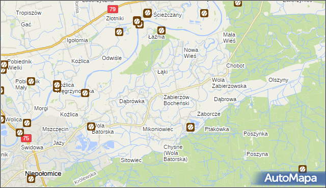 mapa Zabierzów Bocheński, Zabierzów Bocheński na mapie Targeo