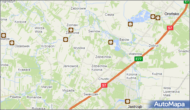 mapa Zdziechów gmina Szydłowiec, Zdziechów gmina Szydłowiec na mapie Targeo