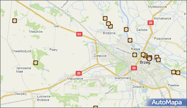 mapa Zielęcice gmina Skarbimierz, Zielęcice gmina Skarbimierz na mapie Targeo