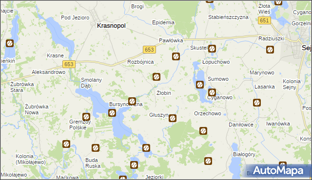 mapa Żłobin, Żłobin na mapie Targeo