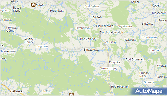 mapa Binczarowa, Binczarowa na mapie Targeo