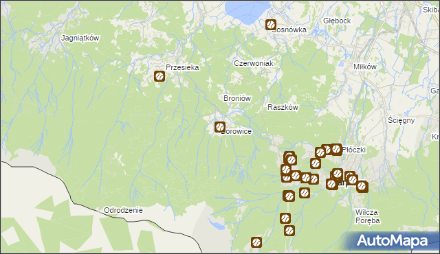 mapa Borowice gmina Podgórzyn, Borowice gmina Podgórzyn na mapie Targeo