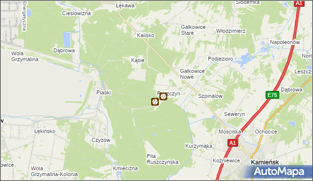 mapa Ruszczyn, Ruszczyn na mapie Targeo