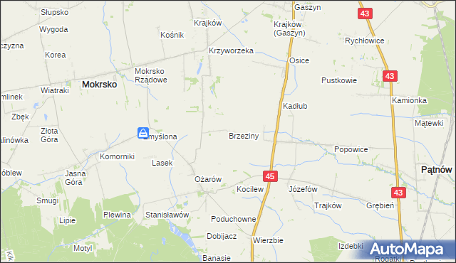 mapa Brzeziny gmina Mokrsko, Brzeziny gmina Mokrsko na mapie Targeo