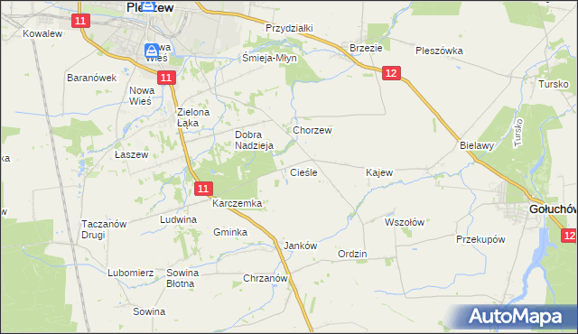 mapa Cieśle gmina Gołuchów, Cieśle gmina Gołuchów na mapie Targeo