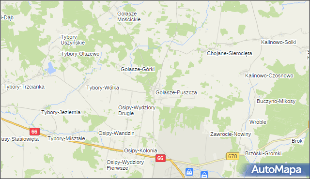 mapa Gołasze-Puszcza, Gołasze-Puszcza na mapie Targeo