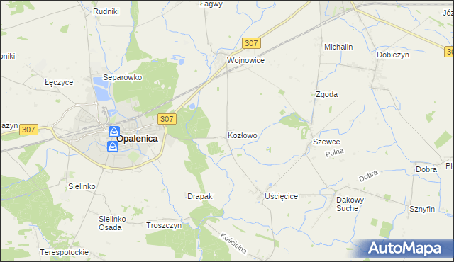 mapa Kozłowo gmina Opalenica, Kozłowo gmina Opalenica na mapie Targeo