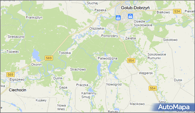 mapa Paliwodzizna, Paliwodzizna na mapie Targeo