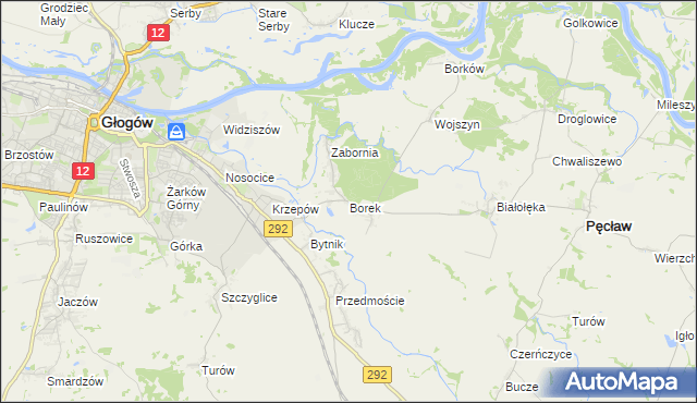 mapa Borek gmina Głogów, Borek gmina Głogów na mapie Targeo