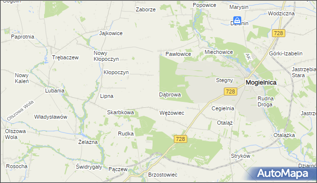 mapa Dąbrowa gmina Mogielnica, Dąbrowa gmina Mogielnica na mapie Targeo