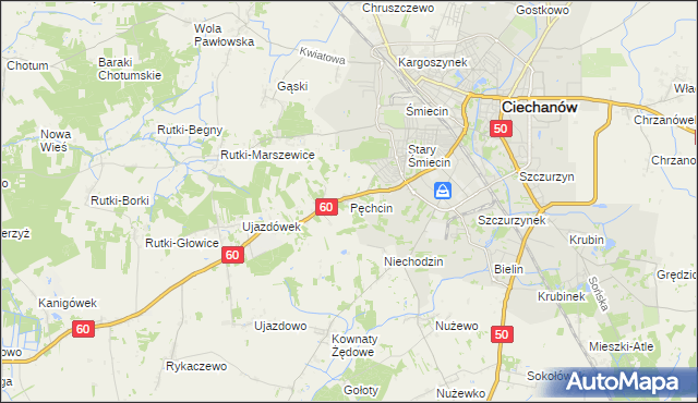 mapa Pęchcin, Pęchcin na mapie Targeo