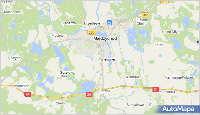 mapa Wielowieś gmina Międzychód, Wielowieś gmina Międzychód na mapie Targeo