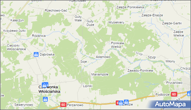 mapa Adamowo gmina Czerwonka, Adamowo gmina Czerwonka na mapie Targeo