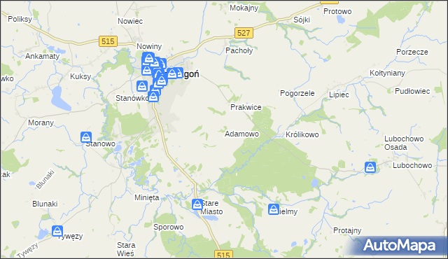 mapa Adamowo gmina Stary Dzierzgoń, Adamowo gmina Stary Dzierzgoń na mapie Targeo