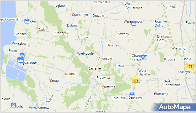 mapa Alfonsów gmina Zadzim, Alfonsów gmina Zadzim na mapie Targeo