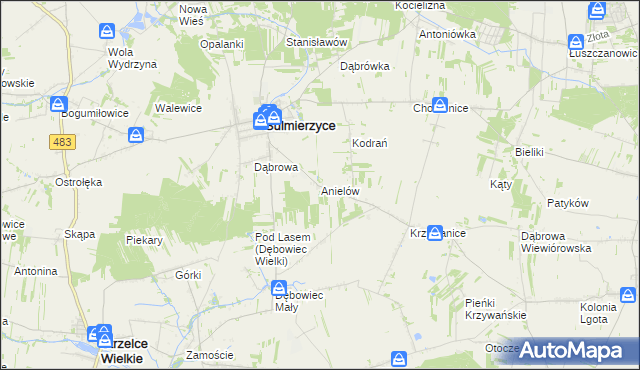 mapa Anielów gmina Sulmierzyce, Anielów gmina Sulmierzyce na mapie Targeo