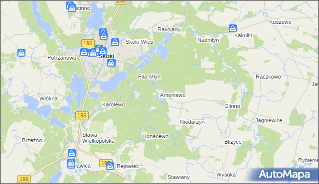 mapa Antoniewo gmina Skoki, Antoniewo gmina Skoki na mapie Targeo