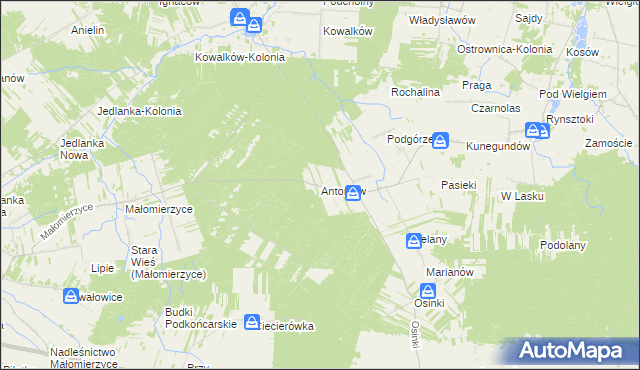 mapa Antoniów gmina Ciepielów, Antoniów gmina Ciepielów na mapie Targeo