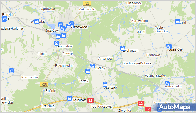 mapa Antoniów gmina Gielniów, Antoniów gmina Gielniów na mapie Targeo