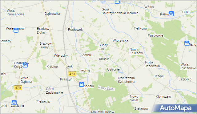 mapa Anusin gmina Zadzim, Anusin gmina Zadzim na mapie Targeo
