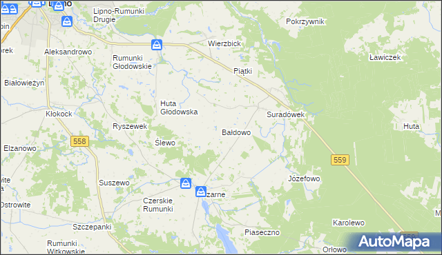 mapa Bałdowo gmina Wielgie, Bałdowo gmina Wielgie na mapie Targeo