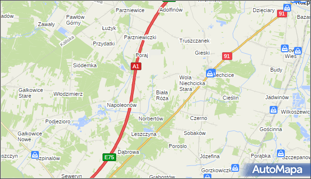 mapa Biała Róża gmina Rozprza, Biała Róża gmina Rozprza na mapie Targeo