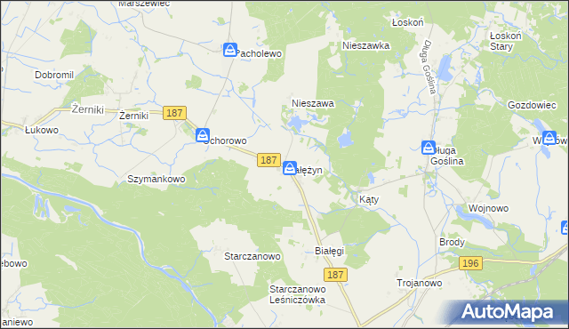 mapa Białężyn gmina Murowana Goślina, Białężyn gmina Murowana Goślina na mapie Targeo