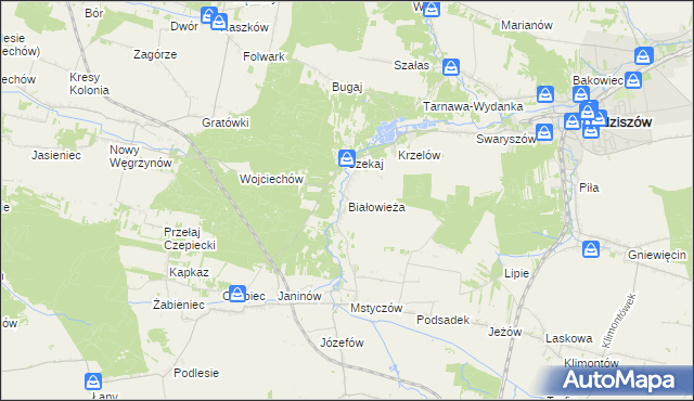 mapa Białowieża gmina Sędziszów, Białowieża gmina Sędziszów na mapie Targeo