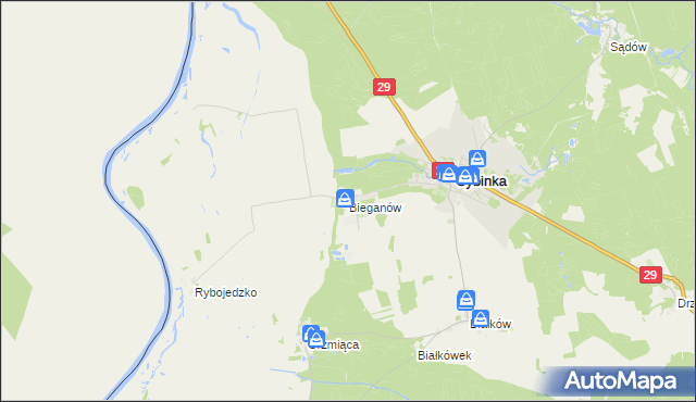 mapa Bieganów gmina Cybinka, Bieganów gmina Cybinka na mapie Targeo