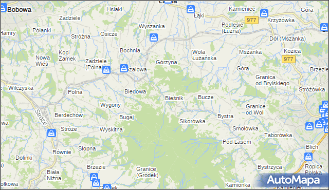 mapa Bieśnik gmina Łużna, Bieśnik gmina Łużna na mapie Targeo