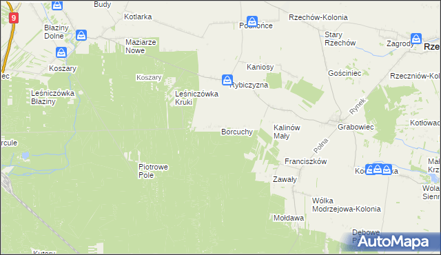 mapa Borcuchy gmina Rzeczniów, Borcuchy gmina Rzeczniów na mapie Targeo