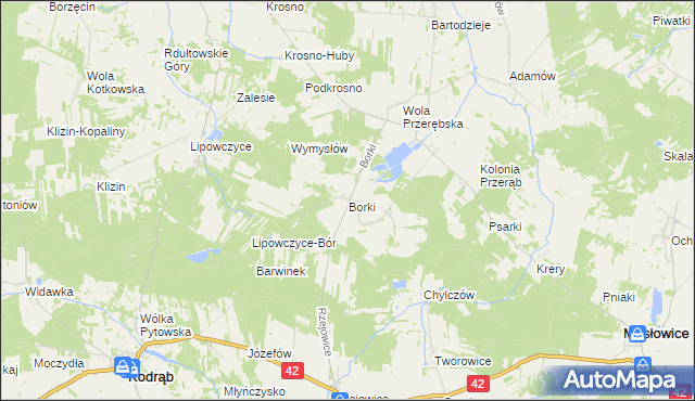 mapa Borki gmina Masłowice, Borki gmina Masłowice na mapie Targeo