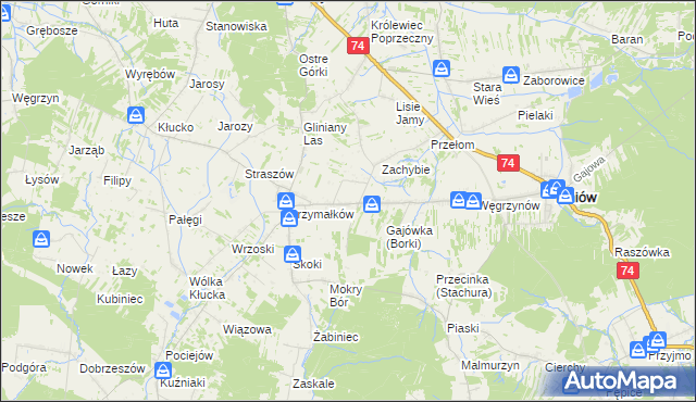 mapa Borki gmina Mniów, Borki gmina Mniów na mapie Targeo