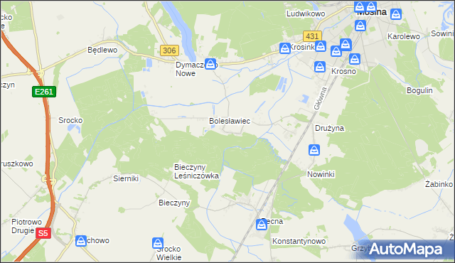 mapa Borkowice gmina Mosina, Borkowice gmina Mosina na mapie Targeo