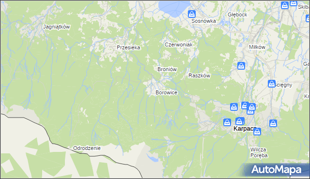mapa Borowice gmina Podgórzyn, Borowice gmina Podgórzyn na mapie Targeo