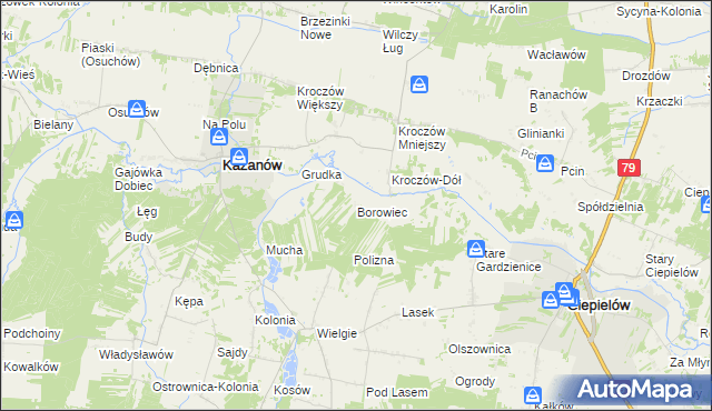 mapa Borowiec gmina Ciepielów, Borowiec gmina Ciepielów na mapie Targeo