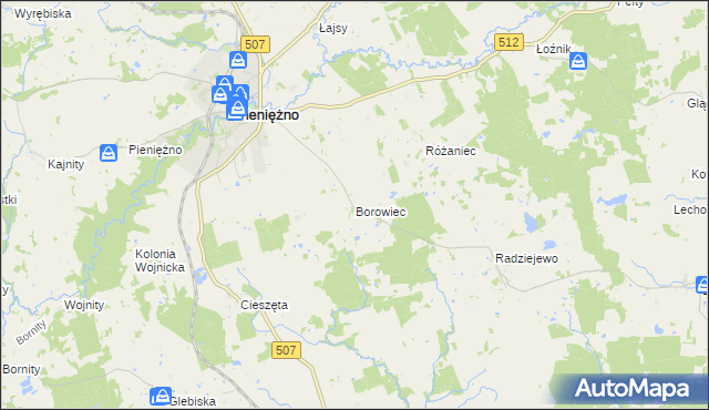 mapa Borowiec gmina Pieniężno, Borowiec gmina Pieniężno na mapie Targeo