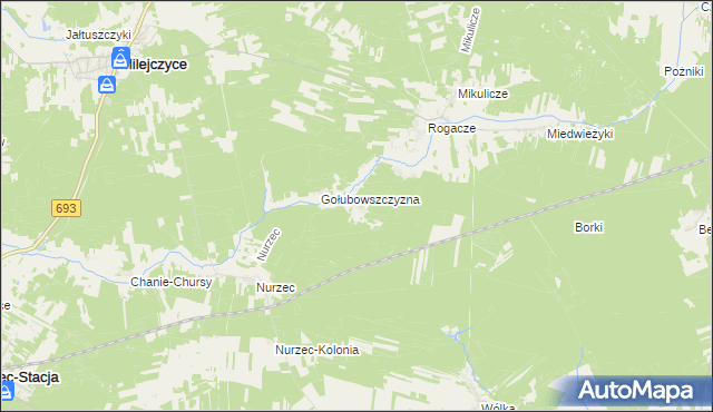 mapa Borowiki, Borowiki na mapie Targeo