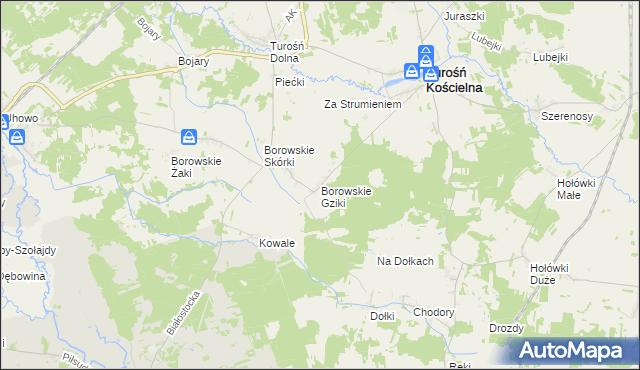 mapa Borowskie Gziki, Borowskie Gziki na mapie Targeo