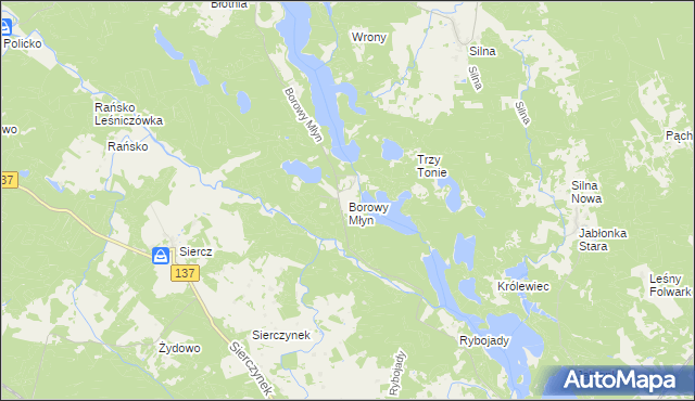 mapa Borowy Młyn gmina Pszczew, Borowy Młyn gmina Pszczew na mapie Targeo