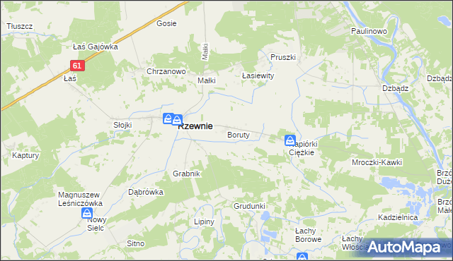 mapa Boruty gmina Rzewnie, Boruty gmina Rzewnie na mapie Targeo