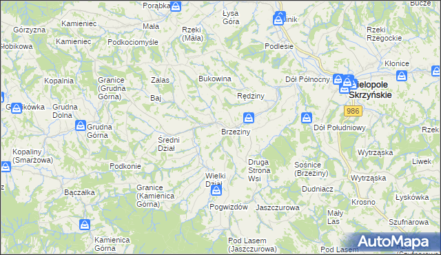 mapa Brzeziny gmina Wielopole Skrzyńskie, Brzeziny gmina Wielopole Skrzyńskie na mapie Targeo