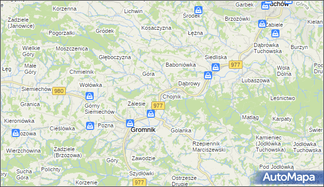 mapa Chojnik gmina Gromnik, Chojnik gmina Gromnik na mapie Targeo